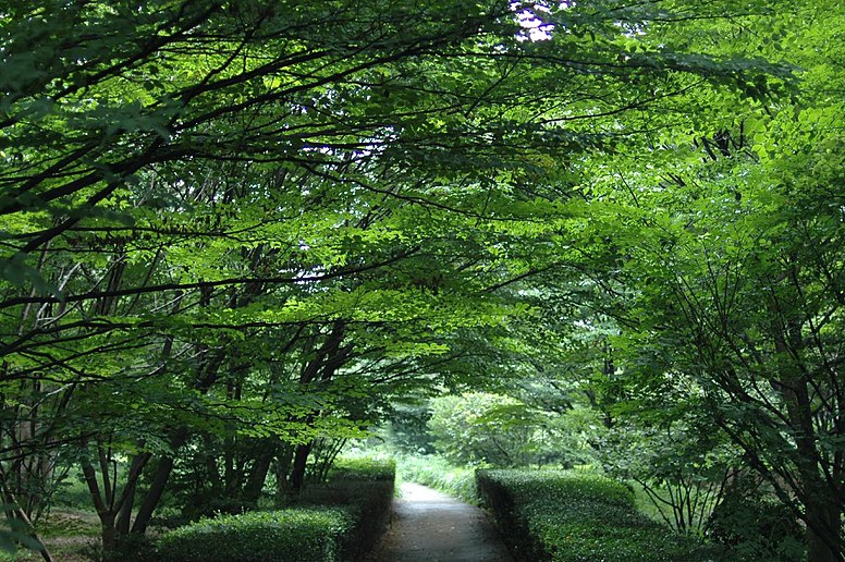 Green Alley -Kitanomaru Park