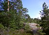 Skog i Grimsta, Stockholm