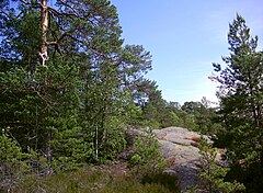 Category:Grimsta nature reserve - Wikimedia Commons