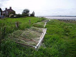 Haaf fishing nets Haaf nets - panoramio.jpg