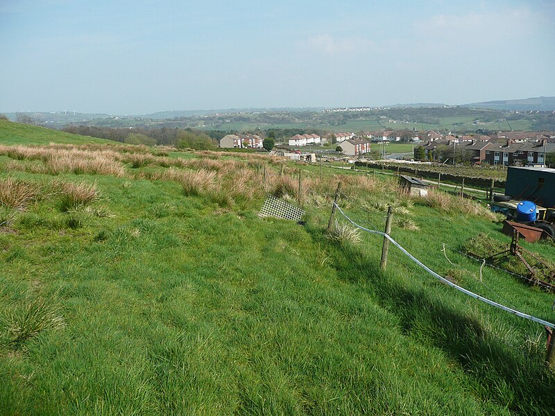 File:Halifax FP205 passing High Lees, Mixenden - geograph.org.uk - 5347750.jpg