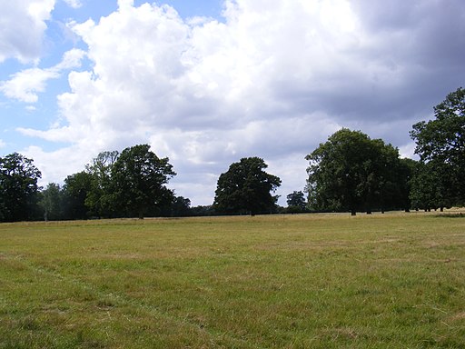 Helmingham Park - geograph.org.uk - 3574520