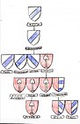 Heraldische Stammtafel der Herren von Graben sowie deren Abstammungen