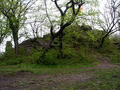 Zugewilderte Oberburg