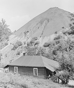 Home of Negro miner living in company housing project with slag pole in rear. Adams, Rowe & Norman Inc., Porter Mine...-l NARA - 540604 (cropped).jpg