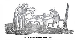 Horse Baited with Dogs (Joseph Strutt).jpg