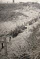 Hugh V. Duke's grave, Normandy beaches near Le Hemel, c. June 1944.jpg