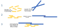 Thumbnail for Hybrid genome assembly