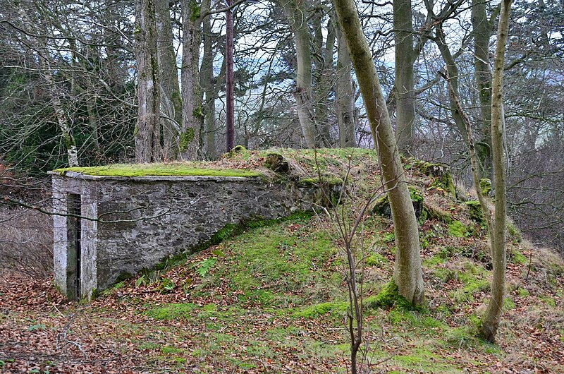 File:Ice house, Barony Castle (geograph 6018553).jpg