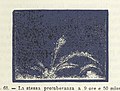 Image taken from page 93 of 'La Terra, trattato popolare di geografia universale per G. Marinelli ed altri scienziati italiani, etc. (With illustrations and maps.)' (11149928815).jpg