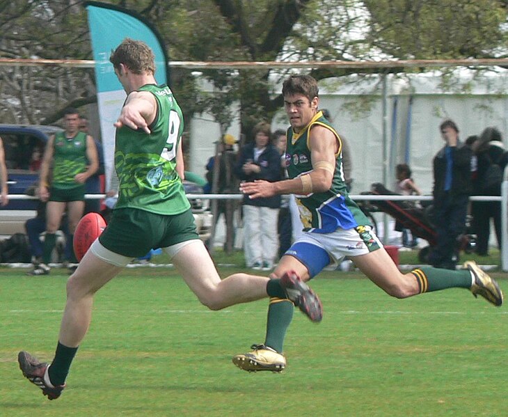 File:Irish player kicking on the run against South Africa.jpg