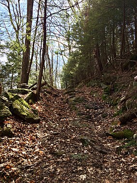 Iron Trail In Housatonic SF do Canaan Mtn Rd IMG 0182.2014-05-03 140404.jpg