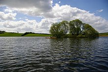 Insulo en Lough Ross - geograph.org.uk - 1282558.jpg