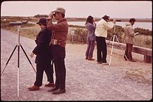 Birders in the Jamaica Bay Wildlife Refuge in 1973 JAMAICA BAY WILDLIFE REFUGE - NARA - 547853.jpg