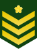 JGSDF Leader insegne private (a).svg