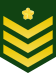 JGSDF Leading Private insignia (a).svg