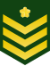 56px-JGSDF_Leading_Private_insignia_%28a%29