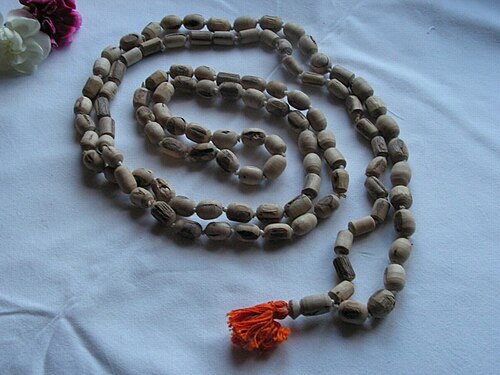 Japa mala, or japa beads, made from tulasi wood, consisting of 108 beads plus the head bead.