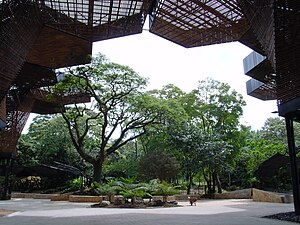 Jardín botánico.Orquideorama-Medellín.jpg