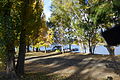 Campground on Lake Jindabyne