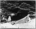 John Muir, full-length portrait, facing left, lying on rock with trees in background LCCN95514641.tif