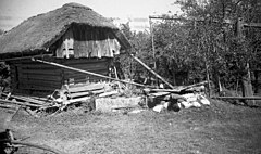 Kašča in vodnjak, Rožnik 1948.jpg