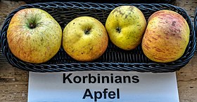 Imagen ilustrativa del artículo Korbiniansapfel