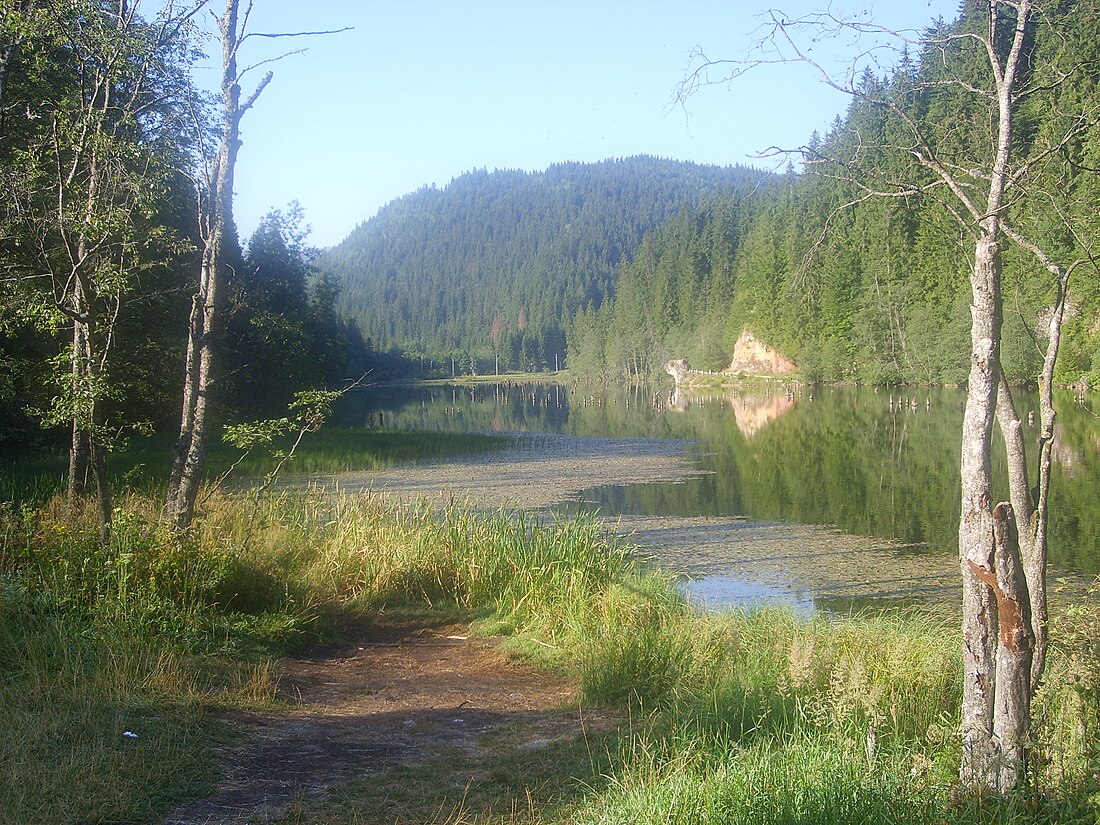 Лаку Рошу (Харгита)