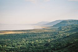 Поглед от рифтовата стена към езерото Маняра, Танзания
