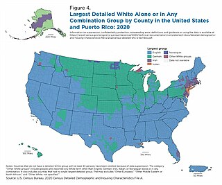 <span class="mw-page-title-main">European Americans</span> People of European descent in the United States