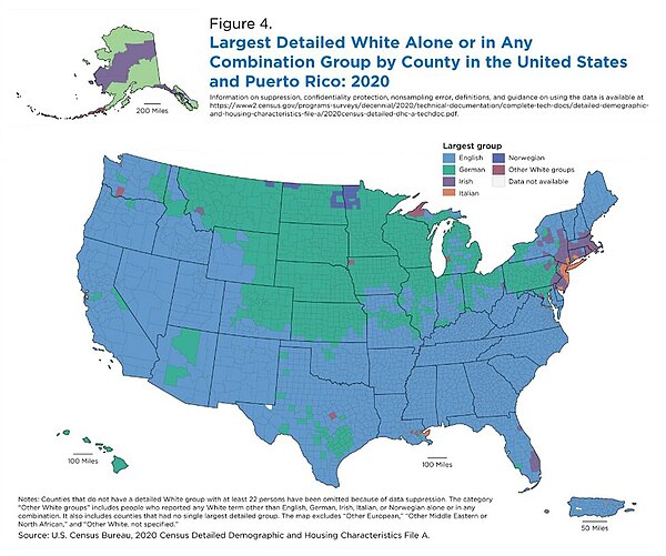 Largest white alone or in any combination group by county in the 2020 United States census.