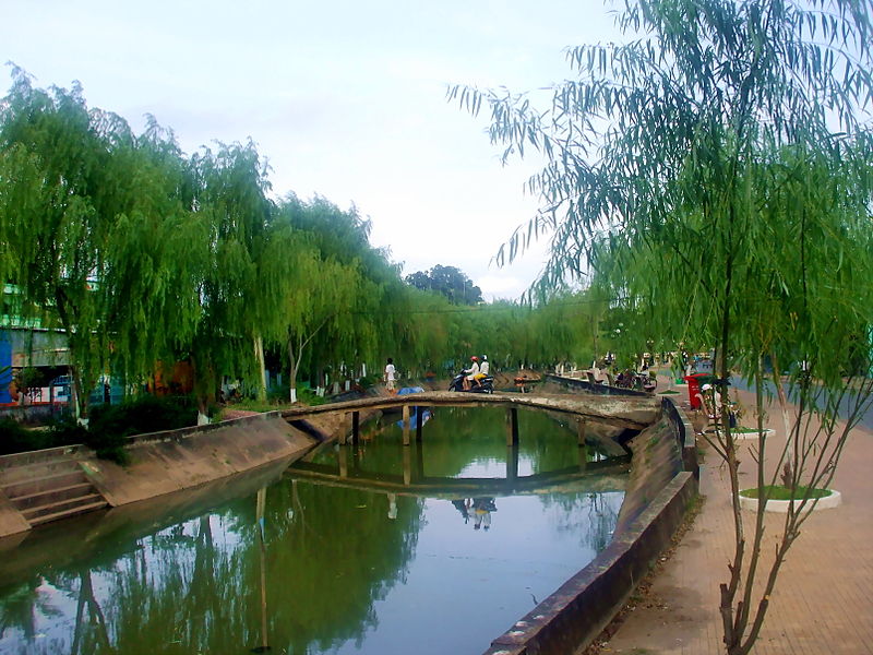 File:Liễu ở Sa Đéc.jpg