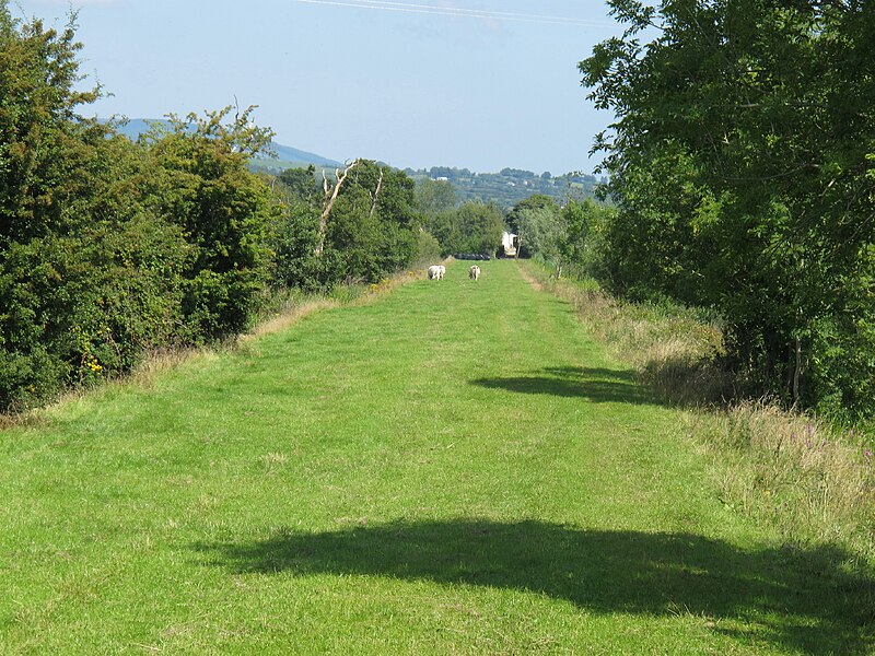 File:Long pasture by canal - geograph.org.uk - 2019241.jpg