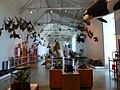 Los Angeles County Museum of Natural History - Discovery Center.JPG