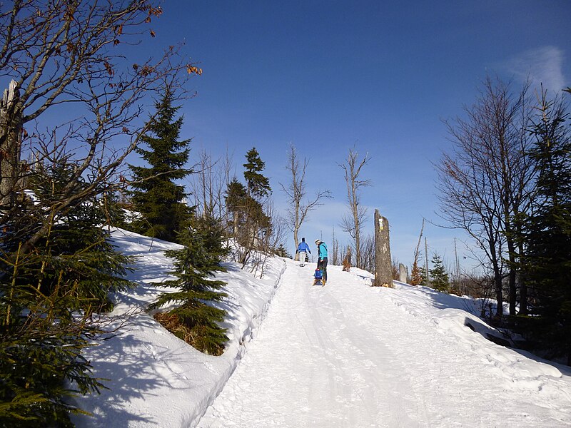 File:Lusen-Winterwanderweg.JPG