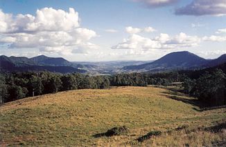 Lynchs Creek, jeden z wielu dopływów rzeki Richmond w dolinach na północ od Kyogle (1994)