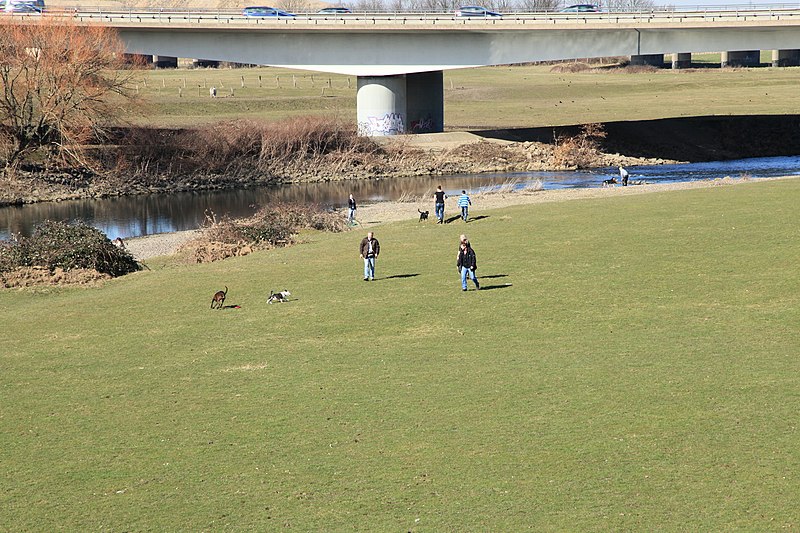 File:Mülheim adR - Ruhrbrücke A40 (Raffelbergbrücke) 08 ies.jpg