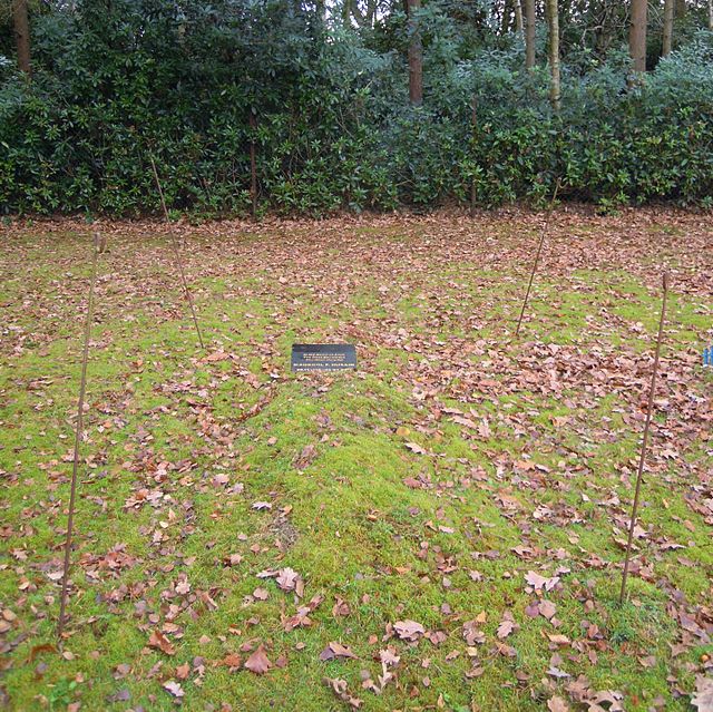 Grave of M. F. Husain in Brookwood Cemetery in Surrey, England.