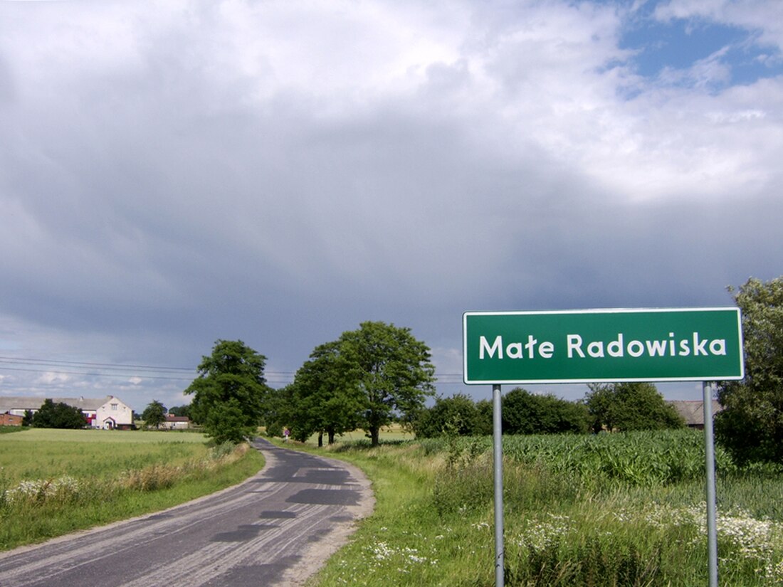 Małe Radowiska