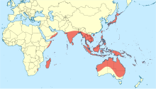 Macrodiplax cora peta distribusi.svg