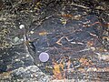 Magnetite-rich banded iron-formation (BIF) (Michipicoten Iron-Formation, Neoarchean, 2696-2749 Ma; Route 17 roadcut east of Bridget Lake, south of Wawa, Ontario, Canada) 3 (48268766362).jpg
