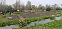 Vignette pour Marais de Bourges