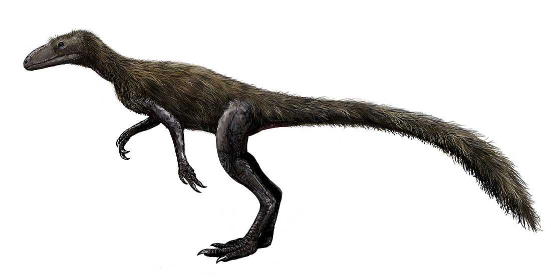 Lagosuchus