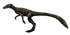 Marasuchus.jpg