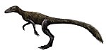 Marasuchus.jpg