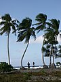 Marshall Islands PICT1442 (4776618725).jpg