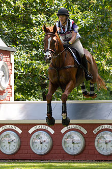 Michelle Mueller and Armistad competing at the 2012 Summer Olympics in London. Michelle Mueller Armistad cross country London 2012.jpg