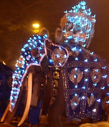 Millangoda Raja, tusker with longest tusks Millangoda Raja.jpg