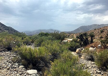 Morongo Canyon 2