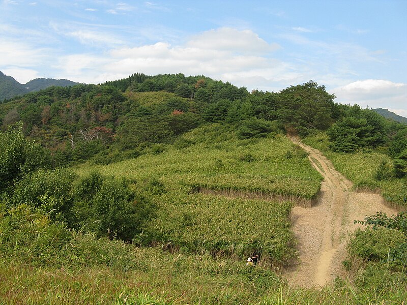 File:Mount Higashiotafuku2.jpg